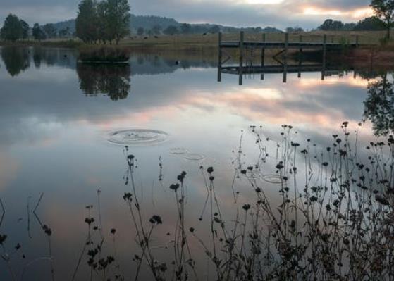 如何治理才能使得磷污染變成“零”污染 如何治理才能使得磷污染變成“零”污染
