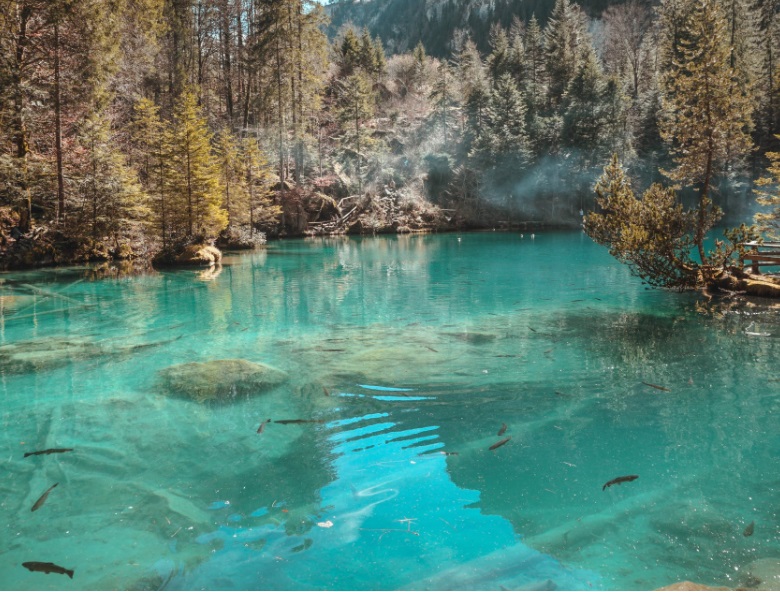 1657529620603808.jpg 4.jpg