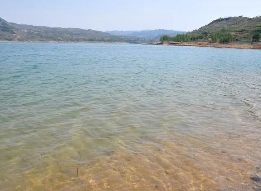 1657958728818072.jpg 20.jpg