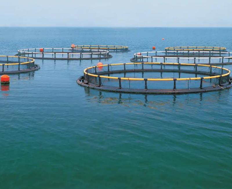 1676699803176088.jpg 養殖1.jpg