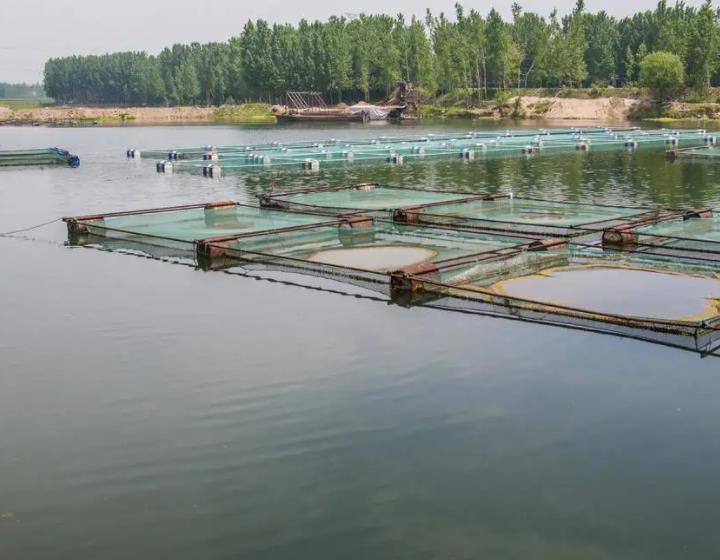 1679729115605672.jpg 水產(chǎn)養(yǎng)殖.jpg