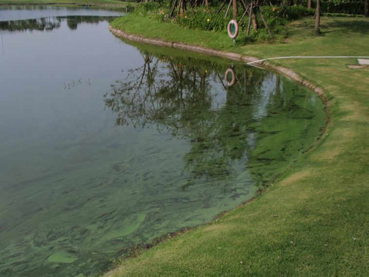 1688201013315563.png 渾濁.png