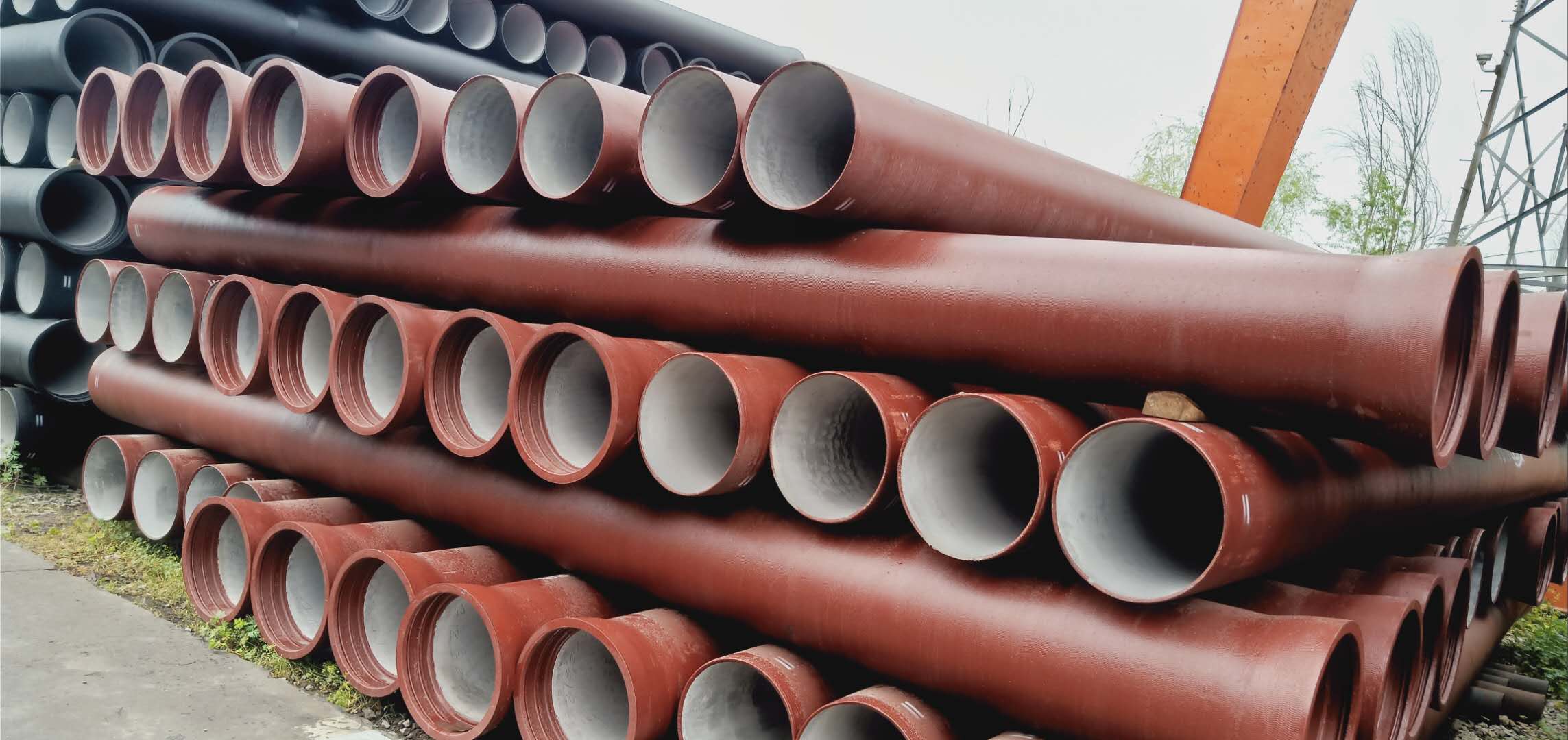 1715234996730376.jpg 1715234996730376.jpg