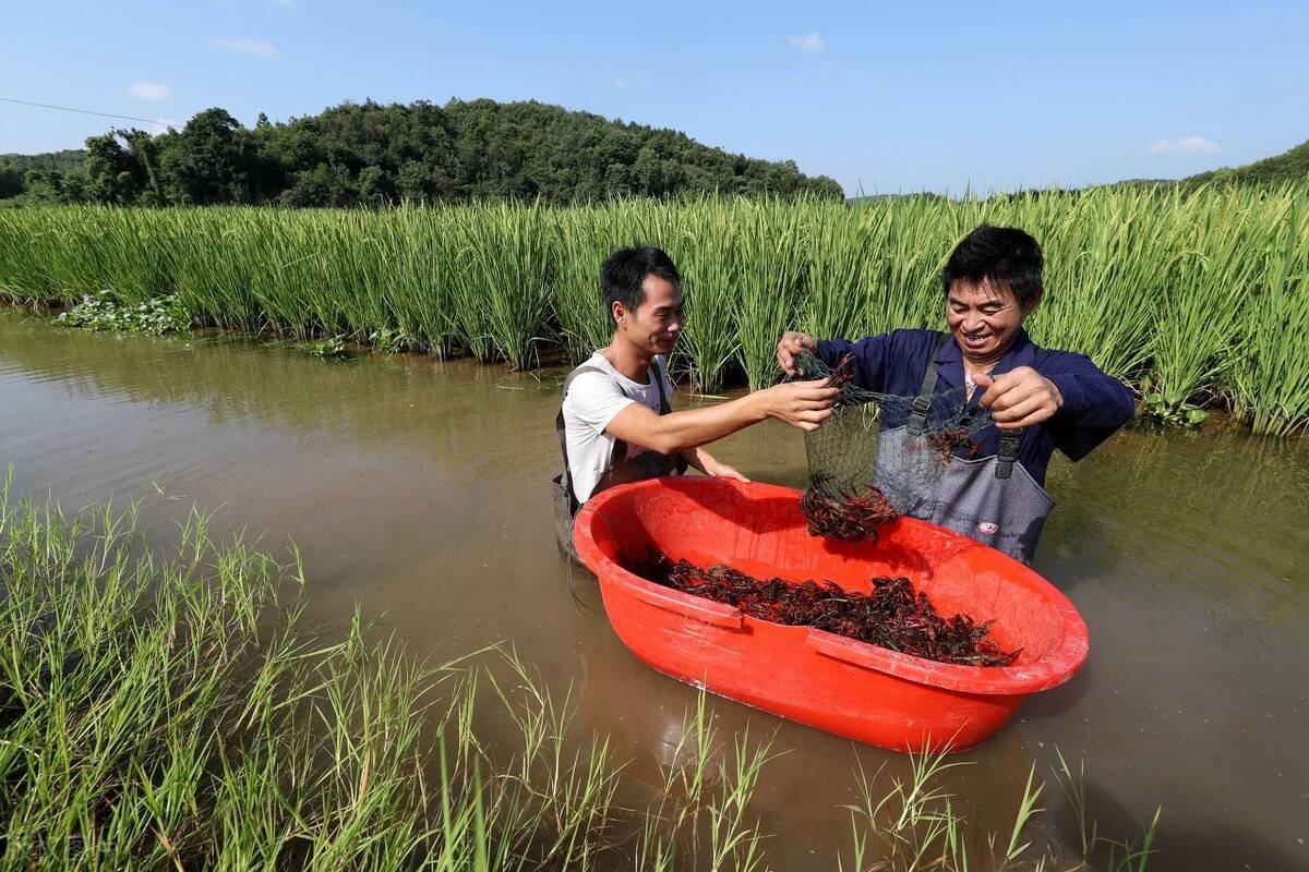 1715396318869336.png 1715396318869336.png