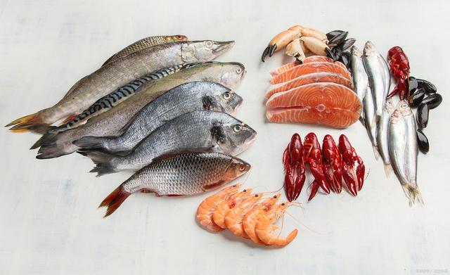 1719213589806556.jpeg 水產養殖.jpeg