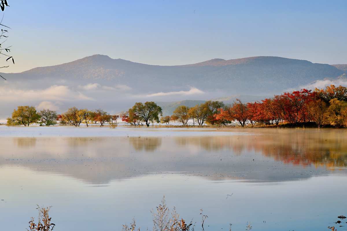 1727577722857778.jpg 1727577722857778.jpg