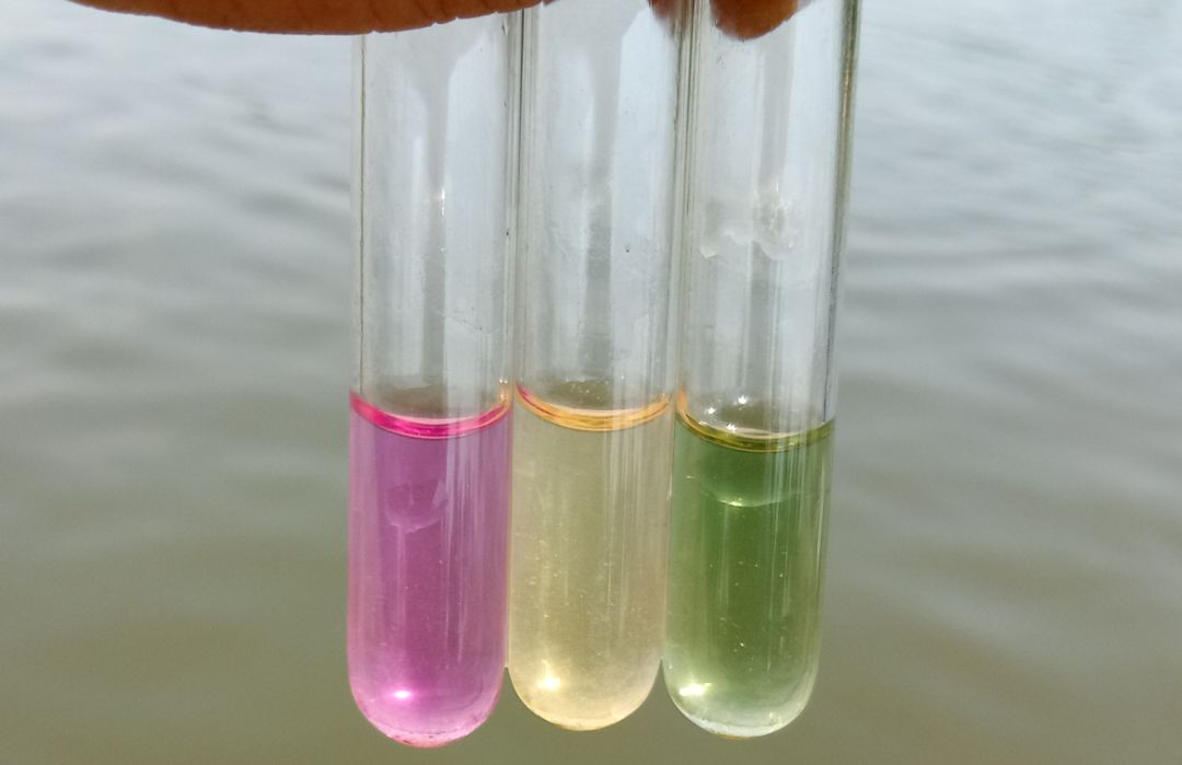 1732514364695692.jpeg 1732514364695692.jpeg