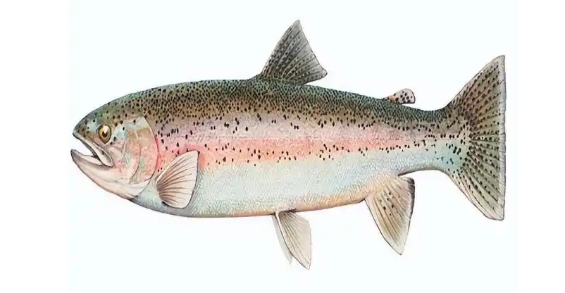 1741057494394943.jpg 1741057494394943.jpg