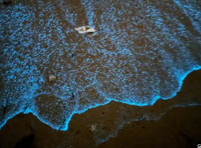 1743129557950569.jpg 藍(lán)眼淚.jpg