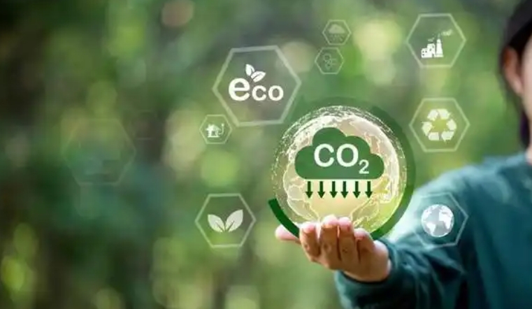 1744683405751829.jpg 湖泊碳匯量化.jpg