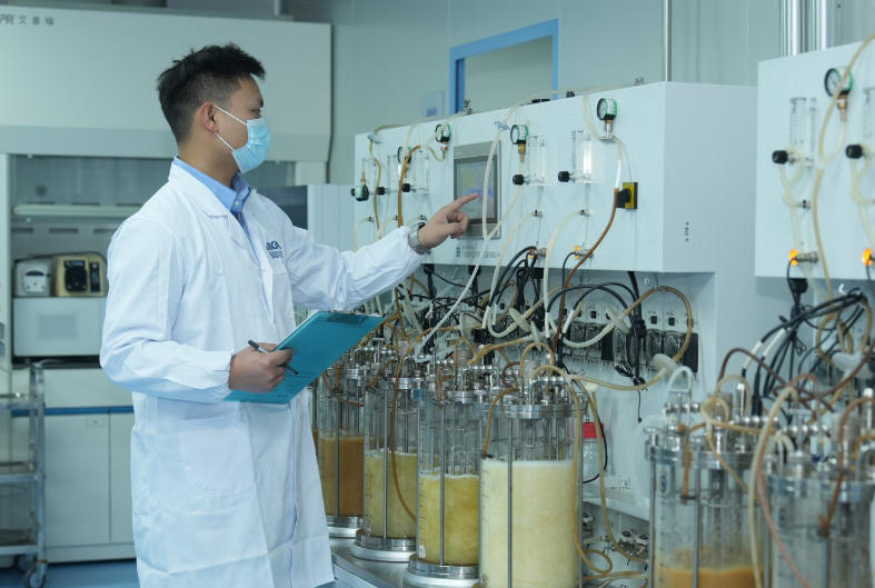 1765161404234436.jpg 1765161404234436.jpg