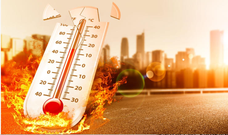 754095ae657ee5119ceccb6f030049f6_1777257424410501.jpg